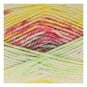 King Cole Dewdrop Hedgerow Chunky 200g  image number 2