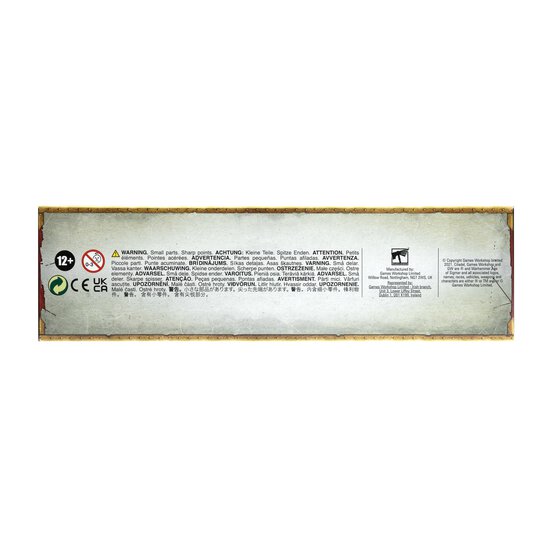 Warhammer Age of Sigmar Dracothian Guard image number 6