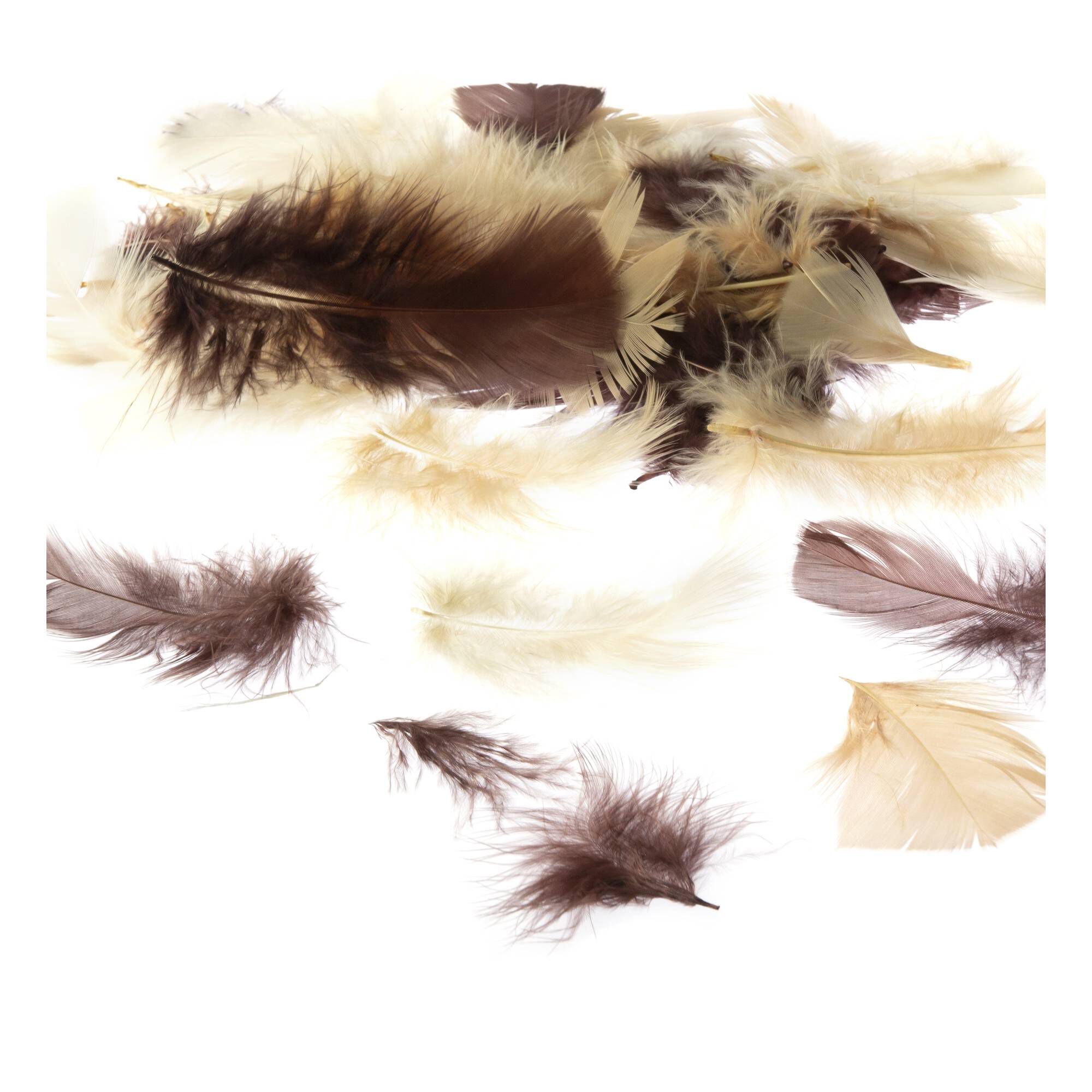 H&M Long Boho Feather Earrings – Vintage Brass/Gold Tone – Natural Brown/Cream