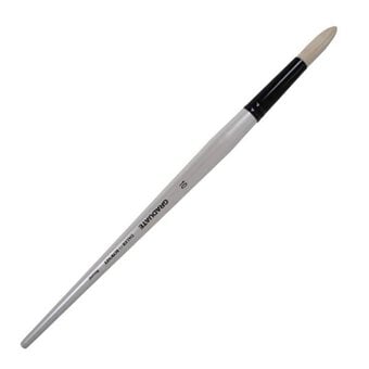 Daler-Rowney Long Handle Bristle Round Graduate Brush Size 10 White