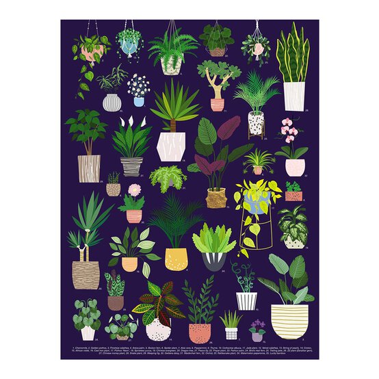 The Power of Plants Set image number 3