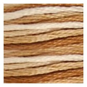 DMC Brown Mouline Special 25 Cotton Thread 8m (105) image number 2