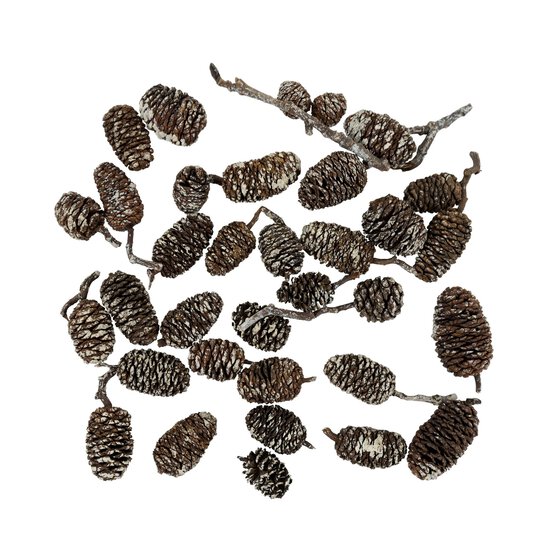 Birch Pinecones 50g image number 3