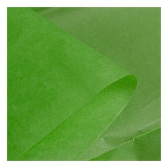 Apple Green Tissue Paper 50cm x 75cm 6 Pack image number 2