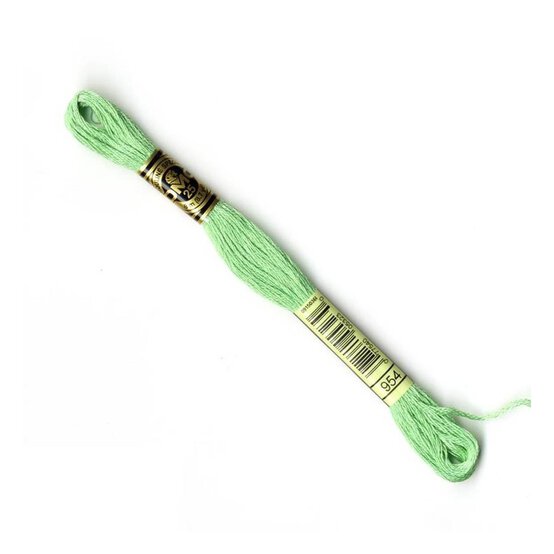 DMC Green Mouline Special 25 Cotton Thread 8m (954) image number 1