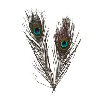 Peacock Feathers 4 Pack