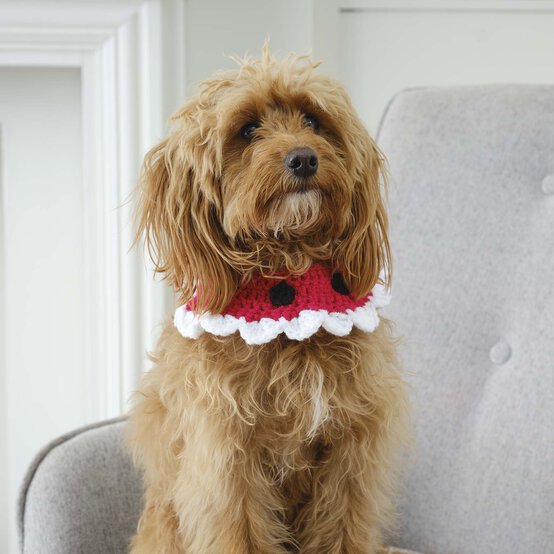 How to Crochet a Christmas Pet Accessory image number 1