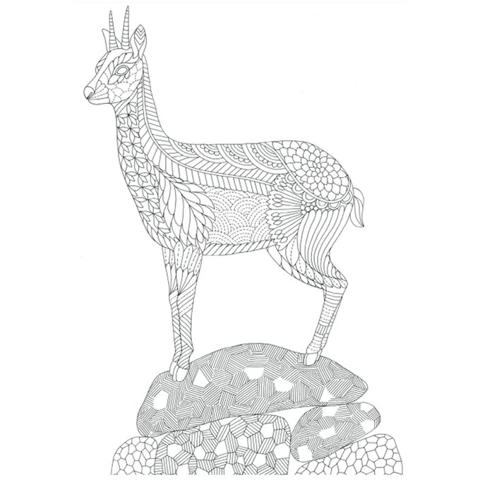 Free Wild Savannah Colouring Page image number 1