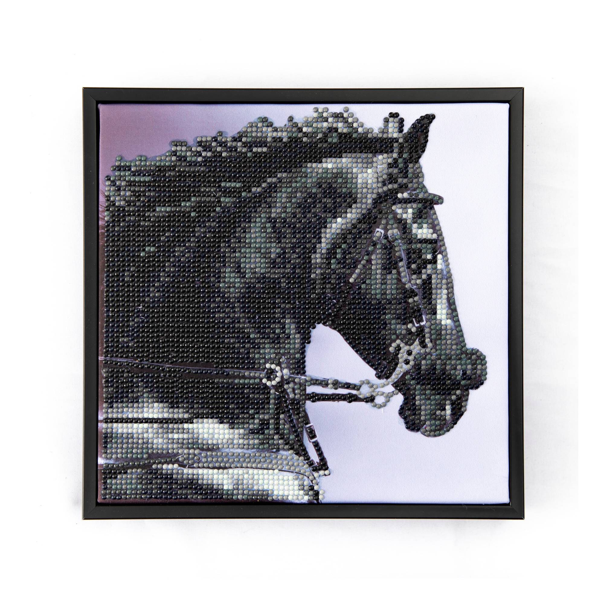 Diamond Dotz Shadow Kit 23cm x 23cm Hobbycraft