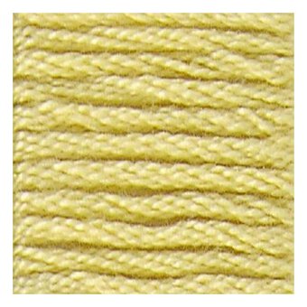 DMC Yellow Mouline Special 25 Cotton Thread 8m (017)