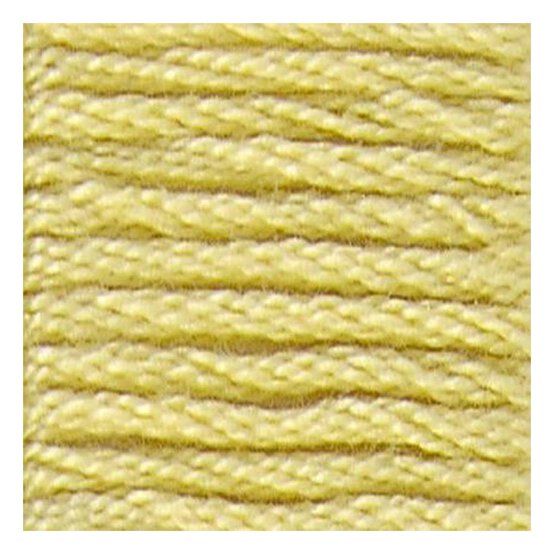 DMC Yellow Mouline Special 25 Cotton Thread 8m (017)