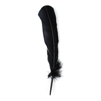 Black American Style Feathers 9 Pack