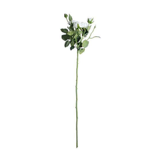 Ivory Camelot Garden Rose Spray 72cm x 13cm image number 1