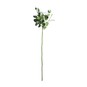 Ivory Camelot Garden Rose Spray 72cm x 13cm image number 1