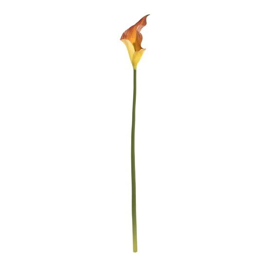 Mango Botanica Calla Lily 60cm image number 1