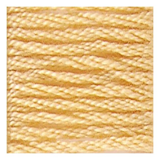 DMC Yellow Mouline Special 25 Cotton Thread 8m (019)