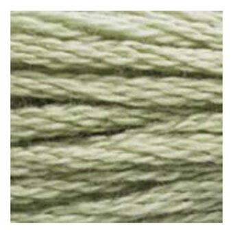 DMC Green Mouline Special 25 Cotton Thread 8m (3053)