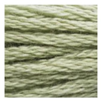 DMC Green Mouline Special 25 Cotton Thread 8m (3053) image number 2