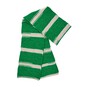 Sirdar Harry Potter Slytherin Self-Striping Scarf Yarn 300g image number 4