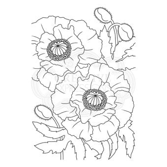 Woodware Poppies Clear Stamp 10cm x 15cm