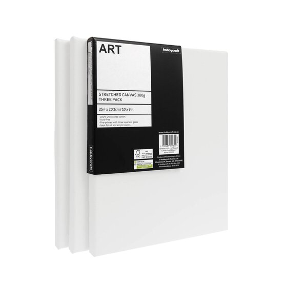Stretched Canvas 25.4cm x 20.3cm 3 Pack image number 1