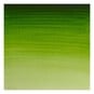 Winsor & Newton Permanent Sap Green Professional Watercolour Tube 14ml image number 2