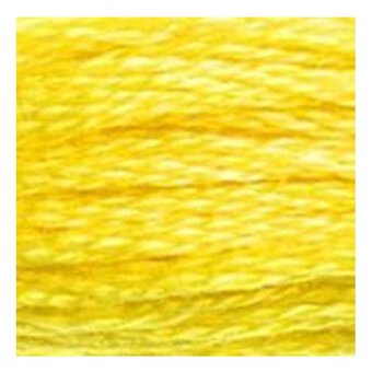DMC Yellow Mouline Special 25 Cotton Thread 8m (307) image number 2