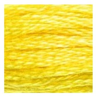 DMC Yellow Mouline Special 25 Cotton Thread 8m (307) image number 2