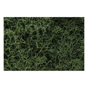 Woodland Scenics Lichen in Medium Green