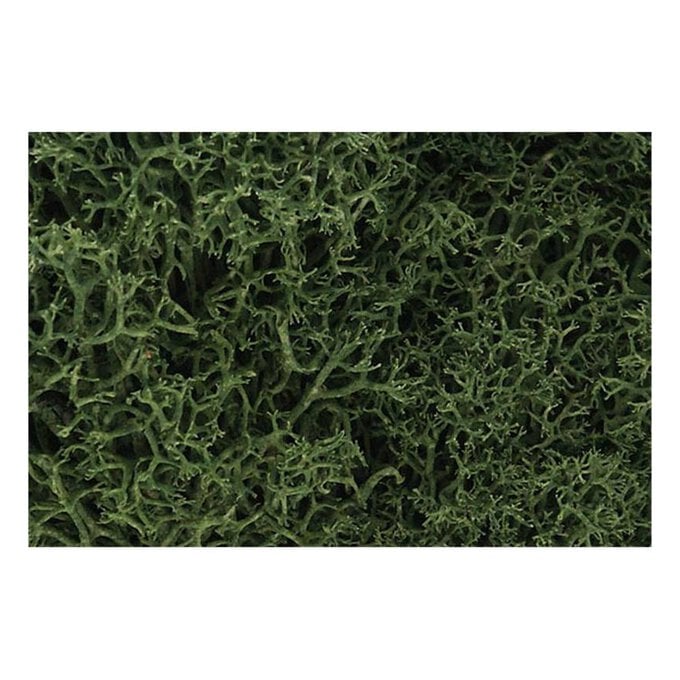Woodland Scenics Lichen in Medium Green image number 1