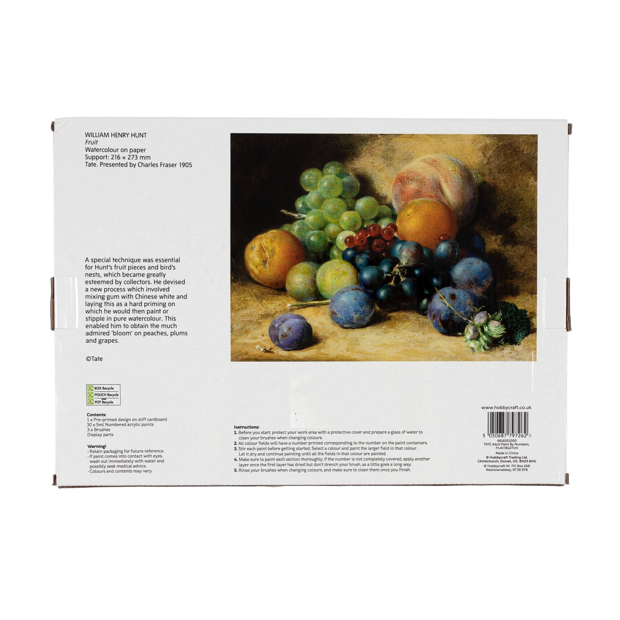 Tate Fruit Paint by Numbers Hobbycraft