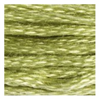 DMC Green Mouline Special 25 Cotton Thread 8m (3348)