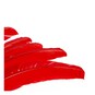 Red Feathers 7 Pack image number 3