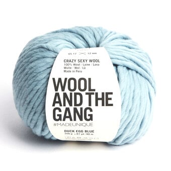 Wool and the Gang Duck Egg Blue Crazy Sexy Wool 200g 