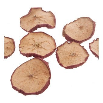 Dried Apple Slices 30 g
