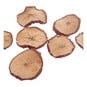 Dried Apple Slices 30 g image number 1