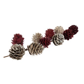 Dried Pinecone Stem 30cm 