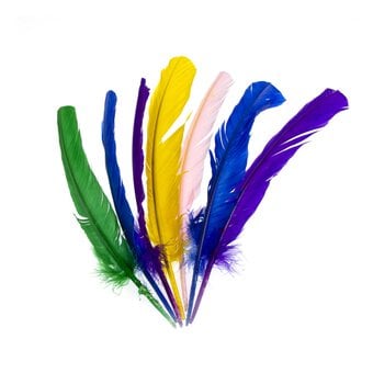 Assorted Feathers 7 Pack