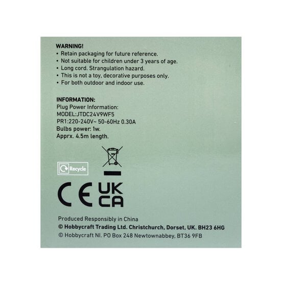 Create & Celebrate Warm White Festoon Lights 5m image number 6