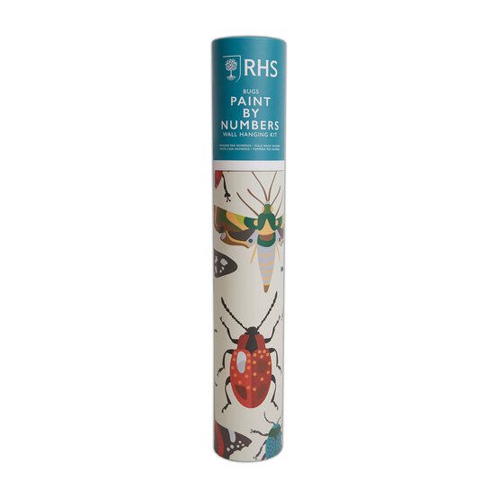 RHS Bugs Paint by Numbers Wall Hanging Kit image number 1
