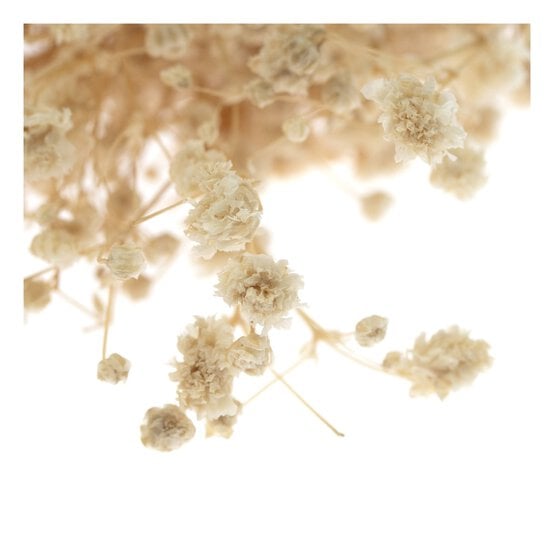 Natural Gypsophila Dried Floral Pick 13cm  image number 3