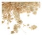 Natural Gypsophila Dried Floral Pick 13cm  image number 3
