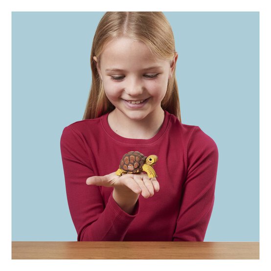 Eugy 3D Tortoise Model image number 2