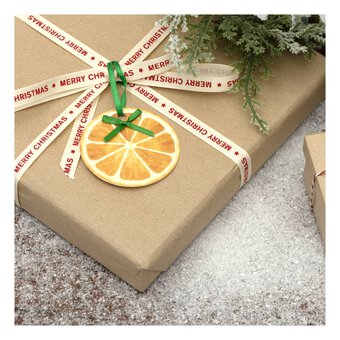 Orange Slice Gift Tags 4 Pack