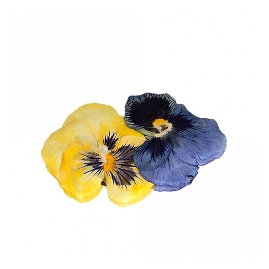 Edible Pressed Viola Flowers 25 Pack image number 3
