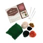 Watermelon Felting Kit image number 3