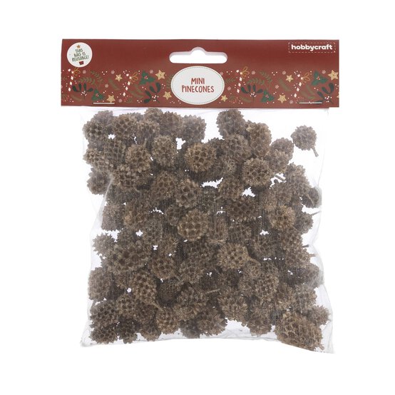 Mini Pinecones 100g image number 3
