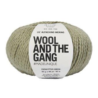 Wool and the Gang Eucalyptus Green Lil&rsquo; Alpachino Merino 50g