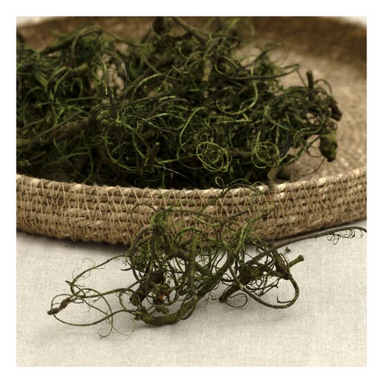 Green Curly Moss 25g image number 2