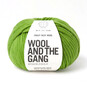 Wool and the Gang Wonderland Green Crazy Sexy Wool 200g  image number 1